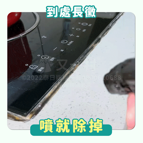 特寫鏡頭展示手持噴槍，正在將清潔劑噴灑在黑色電磁爐邊緣發霉的膠條上。圖片上下方帶有顯眼的文字標示「到處長黴」與「噴就除掉」，強調產品的除黴便利性。